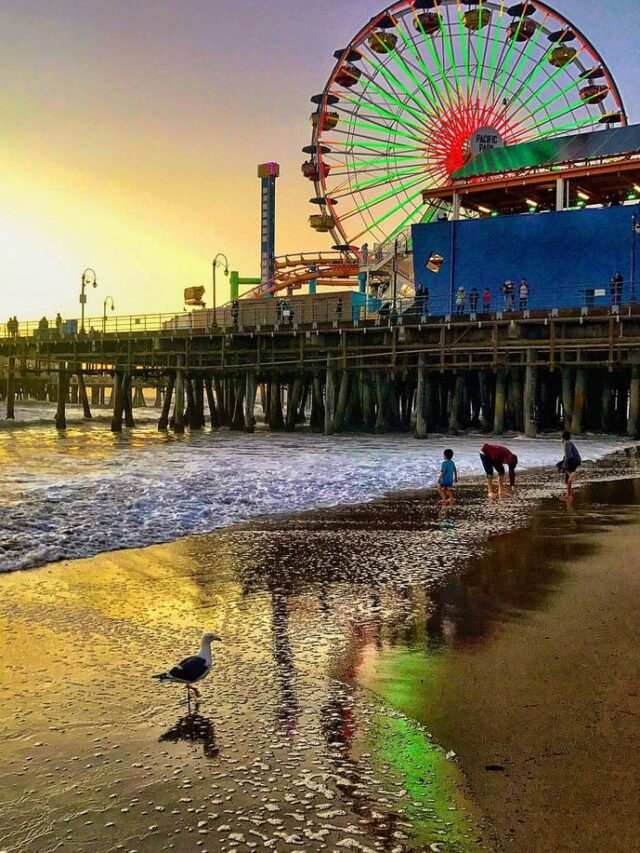 Top 10 Activities To Do On Santa Monica Beach